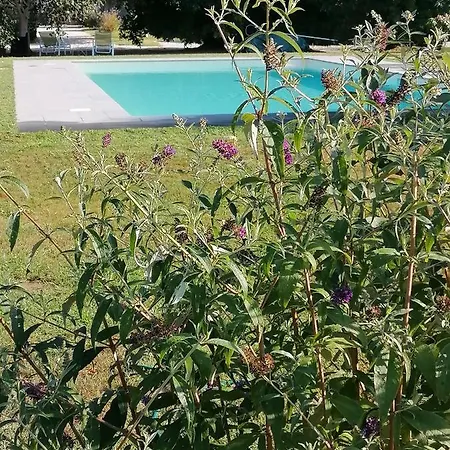 Holiday home Il Nido