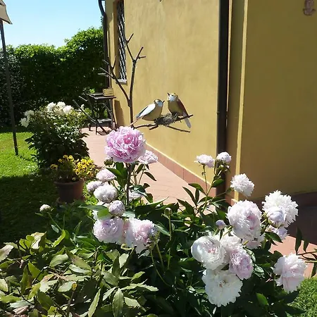 Il Nido * Lucca