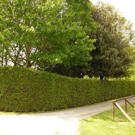 Holiday home Il Nido Lucca
